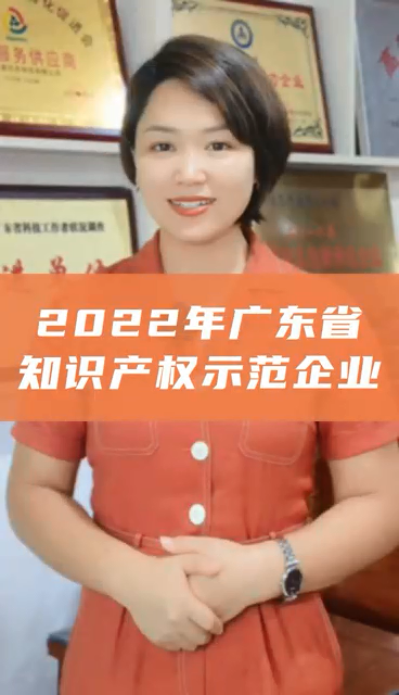 廣東省知識產(chǎn)權(quán)示范企業(yè)，申報條件、認定好處