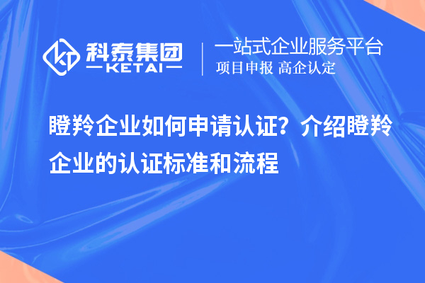 瞪羚企業(yè)如何申請(qǐng)認(rèn)證？介紹瞪羚企業(yè)的認(rèn)證標(biāo)準(zhǔn)和流程