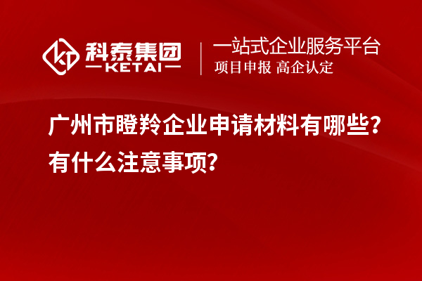 廣州市瞪羚企業(yè)申請材料有哪些？有什么注意事項？