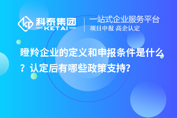 瞪羚企業(yè)的定義和申報條件是什么？認(rèn)定后有哪些政策支持？