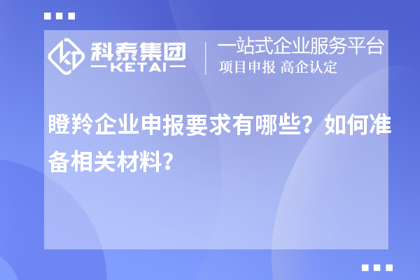 瞪羚企業(yè)申報要求有哪些？如何準(zhǔn)備相關(guān)材料？