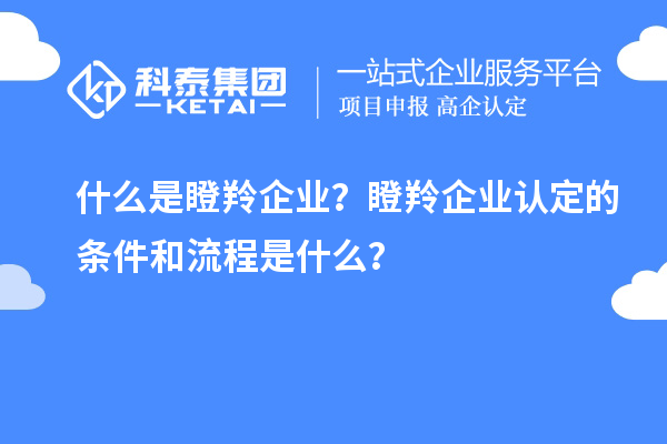什么是瞪羚企業(yè)？瞪羚企業(yè)認(rèn)定的條件和流程是什么？