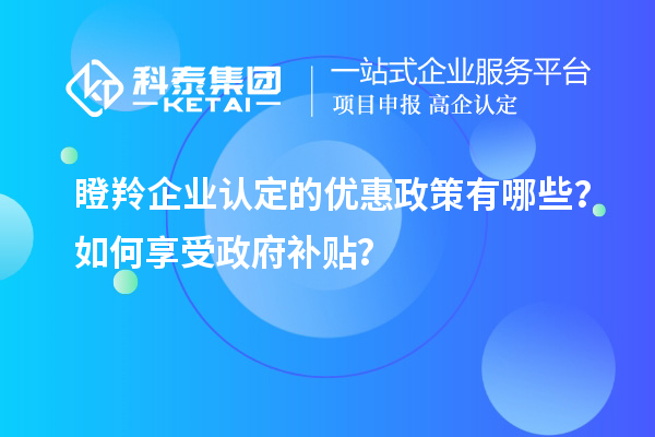 瞪羚企業(yè)認(rèn)定的優(yōu)惠政策有哪些？如何享受政府補貼？
