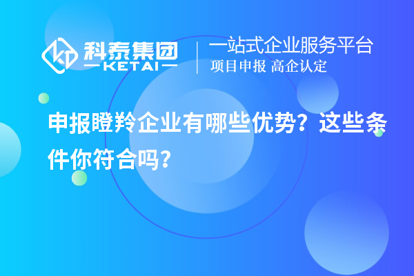 申報瞪羚企業有哪些優勢？這些條件你符合嗎？