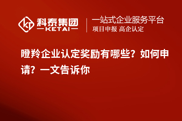 瞪羚企業認定獎勵有哪些？如何申請？一文告訴你