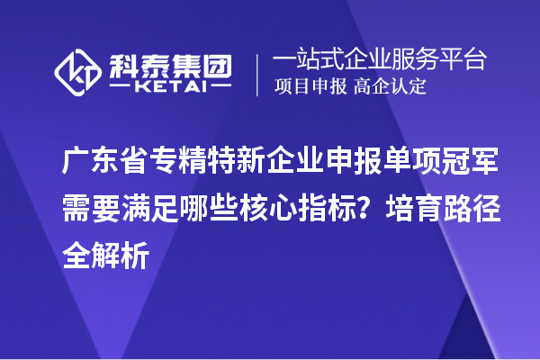 廣東省專精特新企業(yè)申報單項冠軍需要滿足哪些核心指標(biāo)？培育路徑全解析