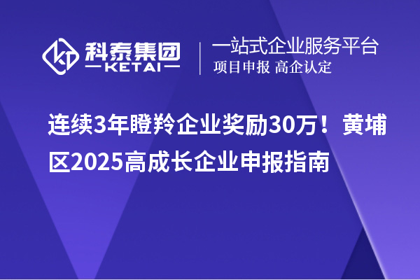 連續(xù)3年瞪羚企業(yè)獎勵30萬！黃埔區(qū)2025高成長企業(yè)申報指南
